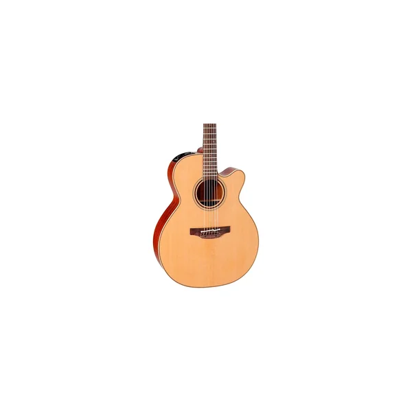 Takamine P3NC Pro Series w/Softcase