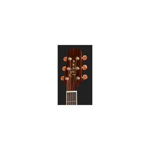 Takamine P4DC w/Softcase