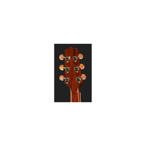 Takamine P4DC w/Softcase