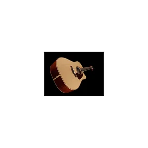 Takamine P4DC w/Softcase