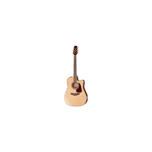 Takamine P5DC w/Softcase