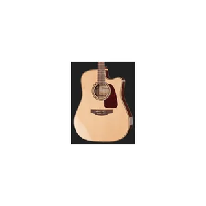 Takamine P5DC w/Softcase