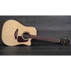 Takamine P5DC w/Softcase