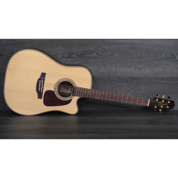 Takamine P5DC w/Softcase