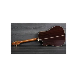 Takamine P5DC w/Softcase