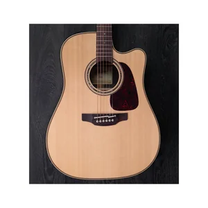 Takamine P5DC w/Softcase
