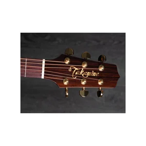 Takamine P5DC w/Softcase