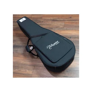 Takamine P5DC w/Softcase
