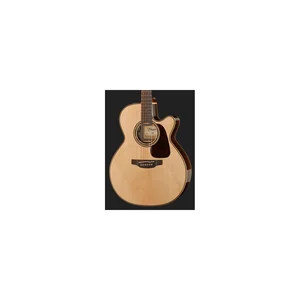Takamine P5NC w/Softcase