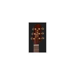 Takamine P5NC w/Softcase