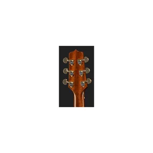Takamine P5NC w/Softcase