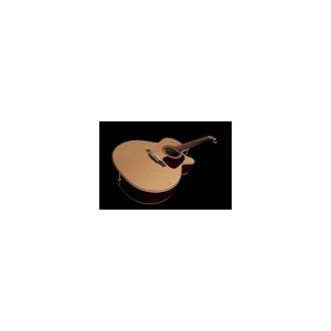 Takamine P5NC w/Softcase