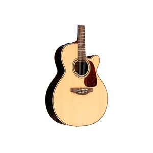 Takamine P5NC w/Softcase