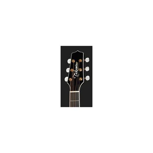 Takamine P6N-BSB w/Softcase
