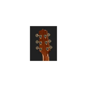 Takamine P7DC w/Softcase