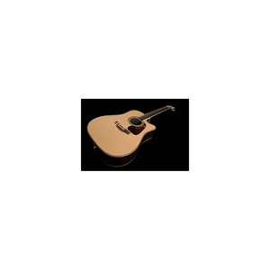 Takamine P7DC w/Softcase