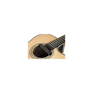 Takamine TRI-AX 2