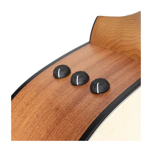 Taylor 110ce Sapele