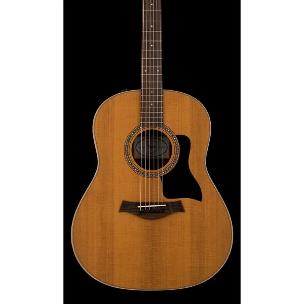Taylor 117e Grand Pacific Eucalyptus