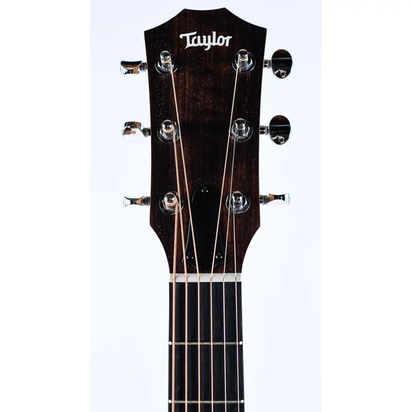 Taylor 14ce