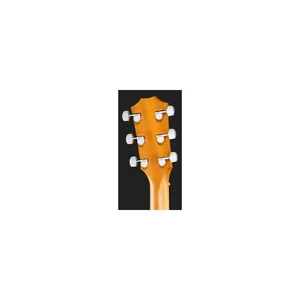 Taylor 210ce