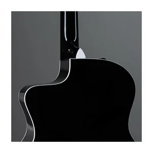 Taylor 214ce-BLK Plus