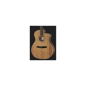 Taylor 214ce-N Spruce/Walnut