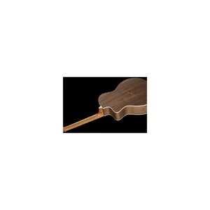 Taylor 214ce-N Spruce/Walnut