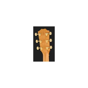 Taylor 224ce-K DLX
