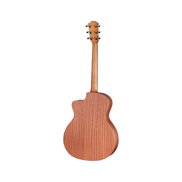 Taylor 24ce