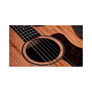 Taylor 24ce