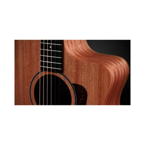 Taylor 24ce