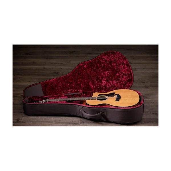 Taylor 254ce Plus