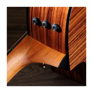 Taylor 254ce Plus