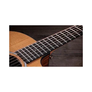 Taylor 254ce Plus