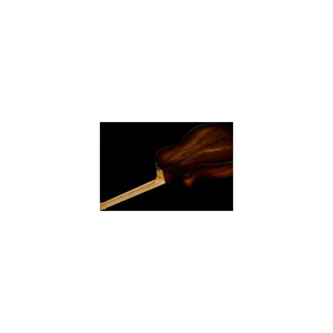Taylor 264ce-K DLX
