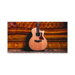 Taylor 314ce Next Generation