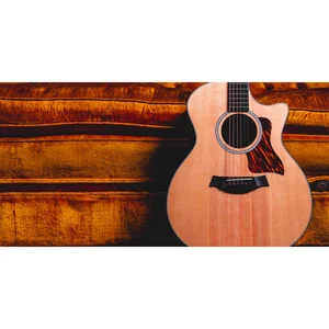 Taylor 314ce Next Generation