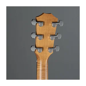 Taylor 317e V-Class