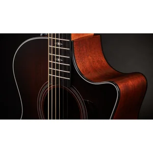 Taylor 324ce Baritone-6-LTD