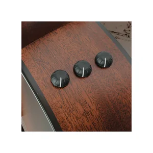 Taylor 324ce Mahogany SEB