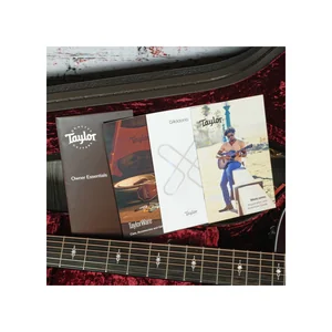 Taylor 324ce Mahogany SEB