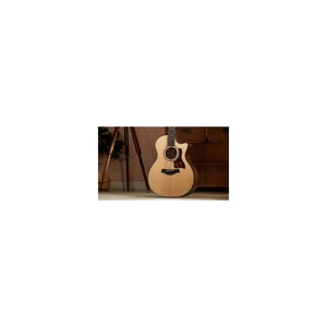 Taylor 354ce