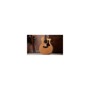 Taylor 414ce Studio