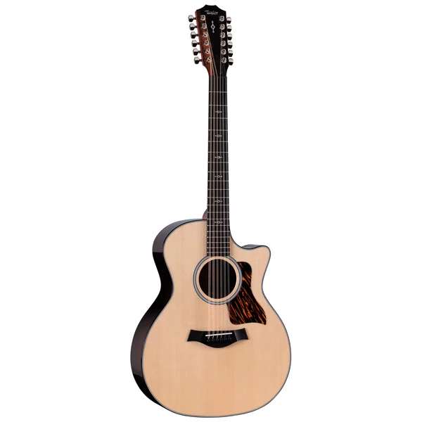 Taylor 454ce