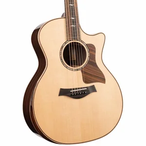 Taylor 814ce Cocobolo Next Gen LTD