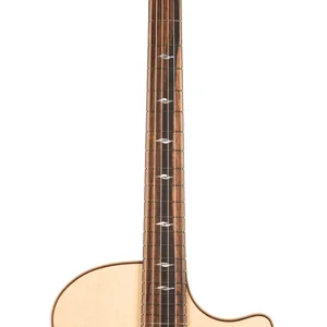 Taylor 814ce Cocobolo Next Gen LTD