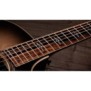 Taylor 814ce Special Edition Charcoal