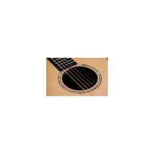 Taylor 914ce Special Edition