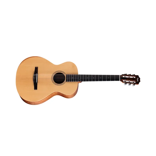 Taylor Academy 12e-N LTD Koa/Spruce